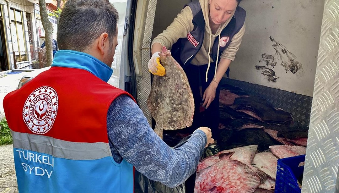 Kaçak yolla avlanan 340 kalkan balığı ele geçirildi – Son Dakika Türkiye Haberleri